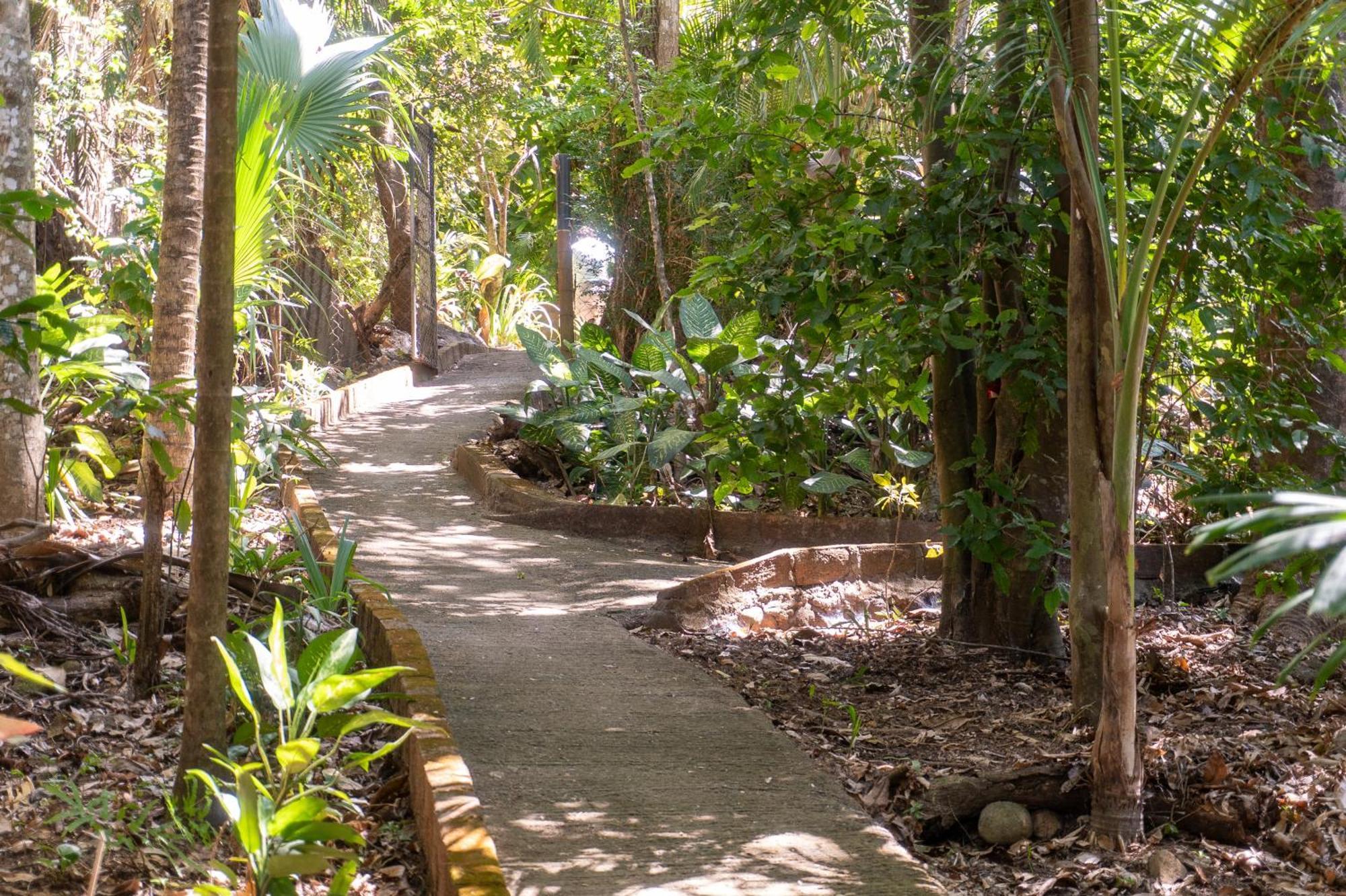 Hostal Delmy Suchitoto المظهر الخارجي الصورة