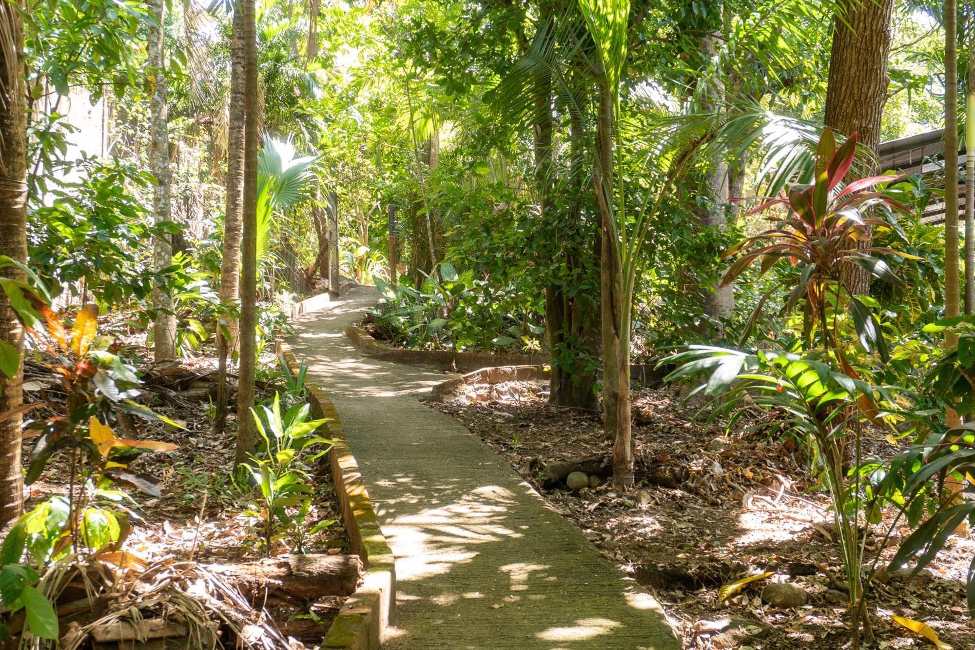 Hostal Delmy Suchitoto المظهر الخارجي الصورة